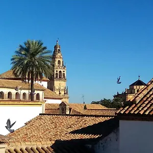 https://la-mirada-de-la-juderia.es-andalucia.com